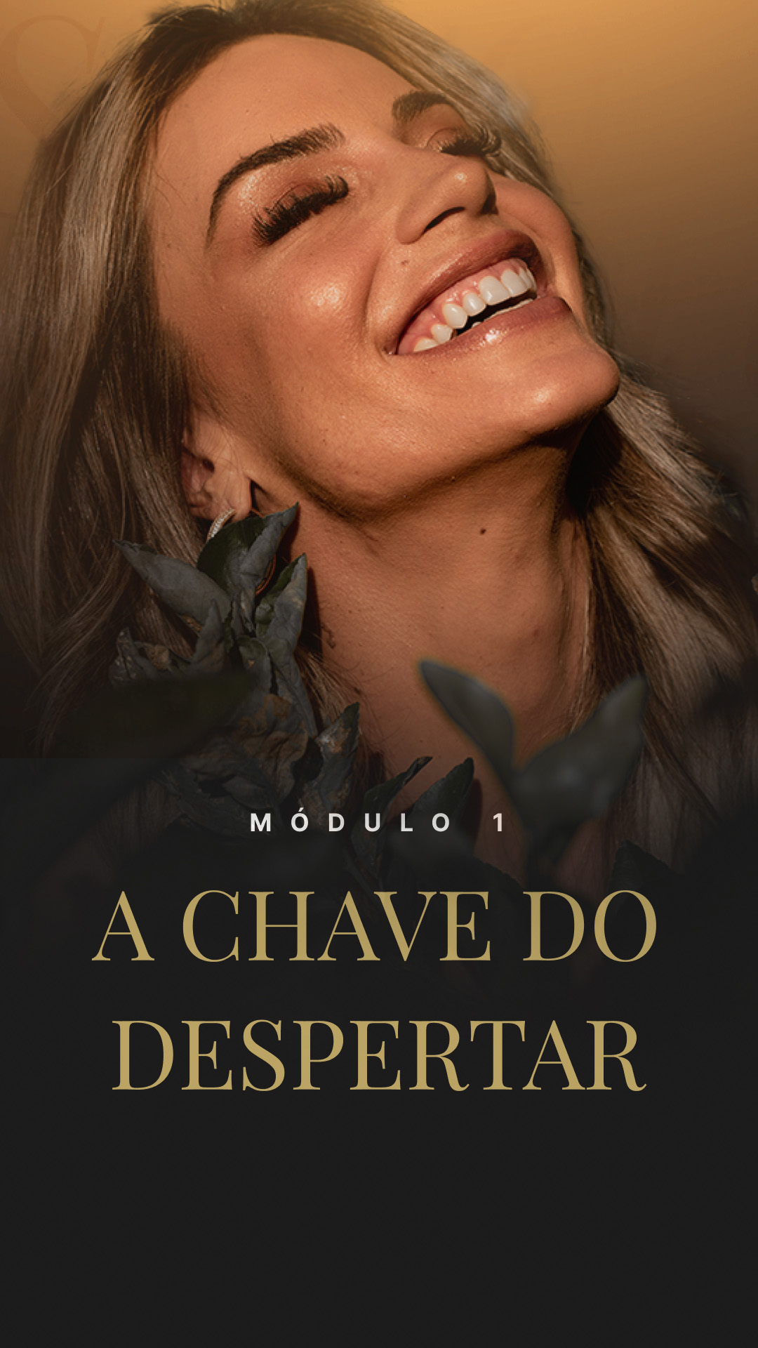mod1 copiar