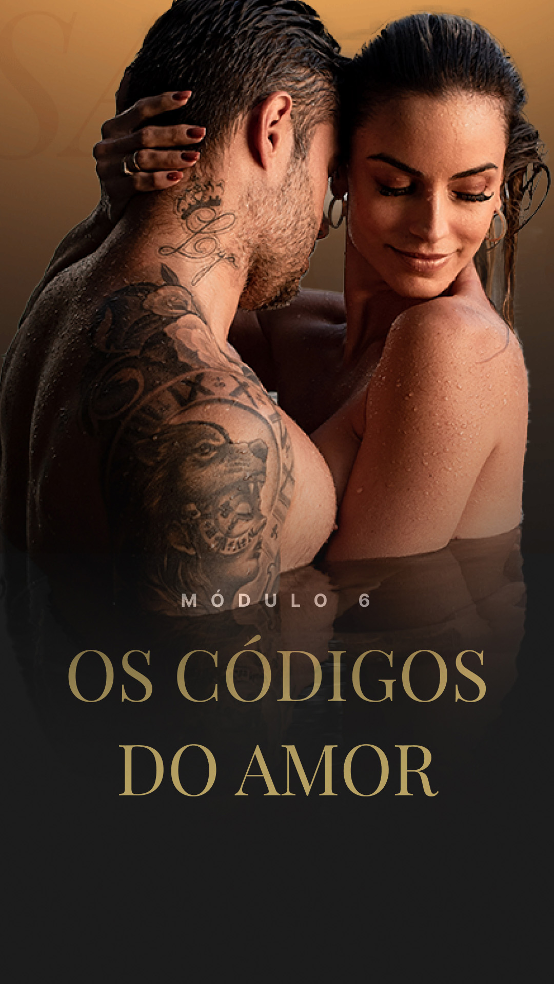 mod6 copiar